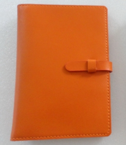 Passport Case